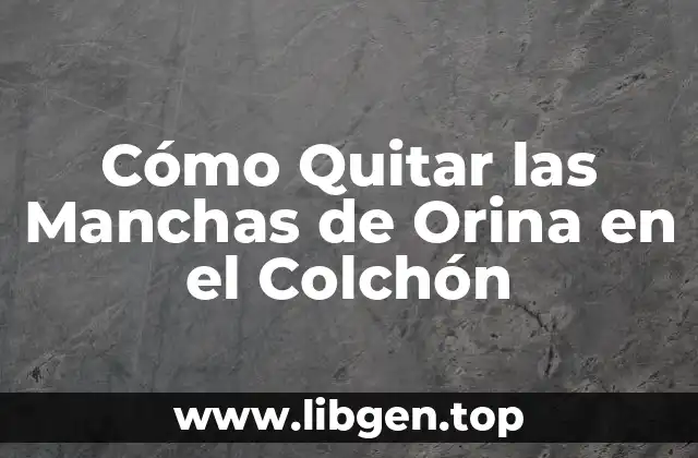 Cómo Quitar las Manchas de Orina en el Colchón