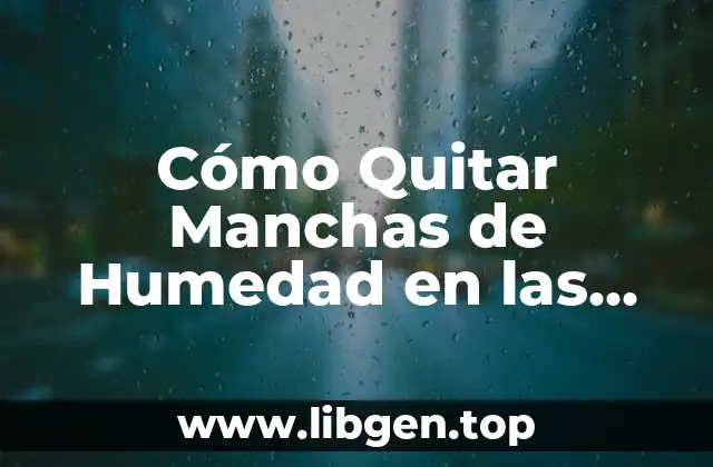 Cómo Quitar Manchas de Humedad en las Paredes de Forma Efectiva