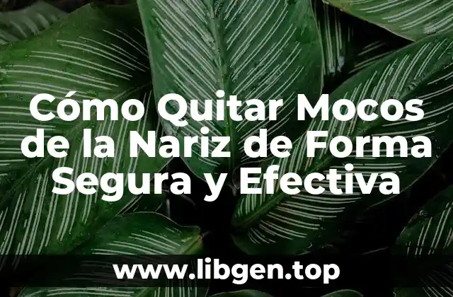 Cómo Quitar Mocos de la Nariz de Forma Segura y Efectiva