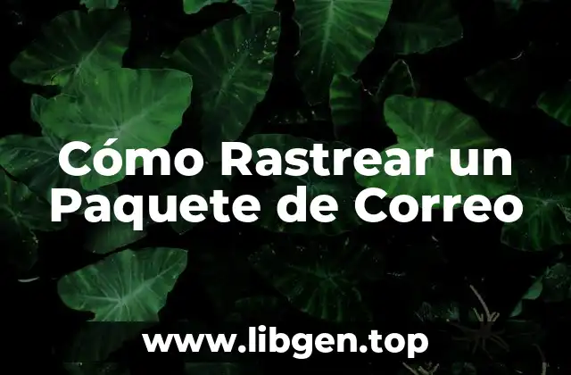 Cómo Rastrear un Paquete de Correo