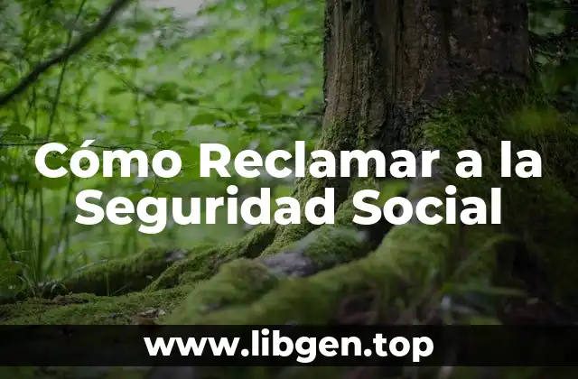Cómo Reclamar a la Seguridad Social