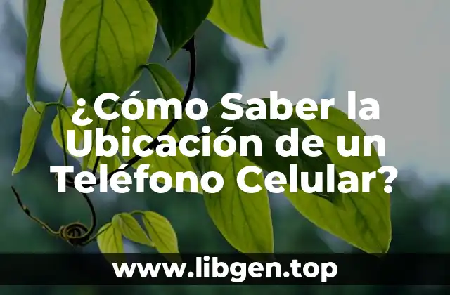 ¿Cómo Saber la Ubicación de un Teléfono Celular?