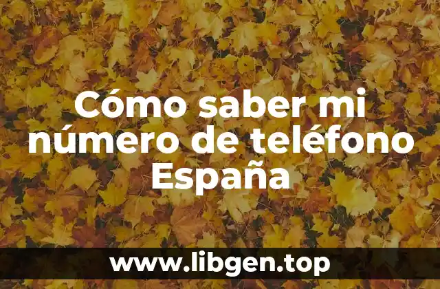 ¿Por qué es importante saber mi número de teléfono en España?