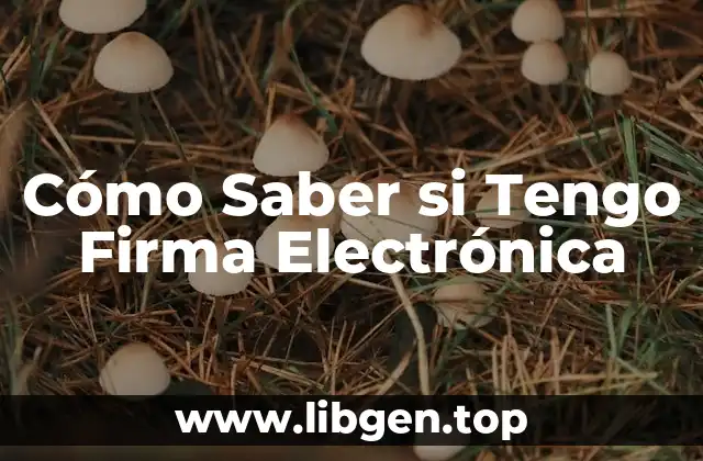 Cómo Saber si Tengo Firma Electrónica