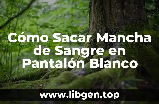 Cómo Sacar Mancha de Sangre en Pantalón Blanco