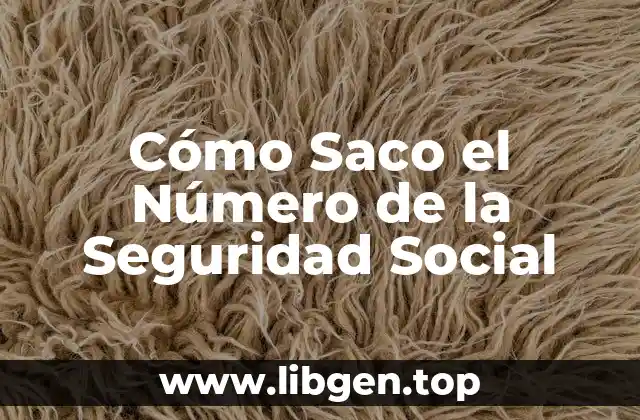 ¿Qué es el Número de Seguridad Social y por qué es Importante?