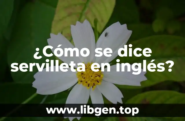 ¿Cómo se dice servilleta en inglés?