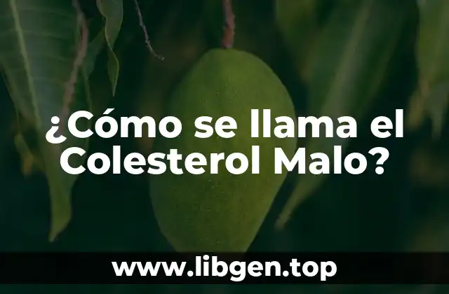¿Cómo se llama el Colesterol Malo?