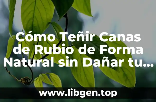 Cómo Teñir Canas de Rubio de Forma Natural sin Dañar tu Cabello