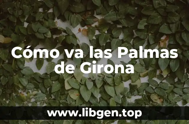 Cómo va las Palmas de Girona