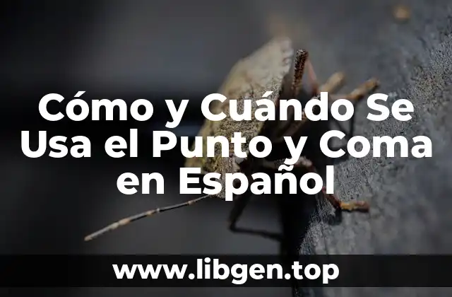 Cómo y Cuándo Se Usa el Punto y Coma en Español