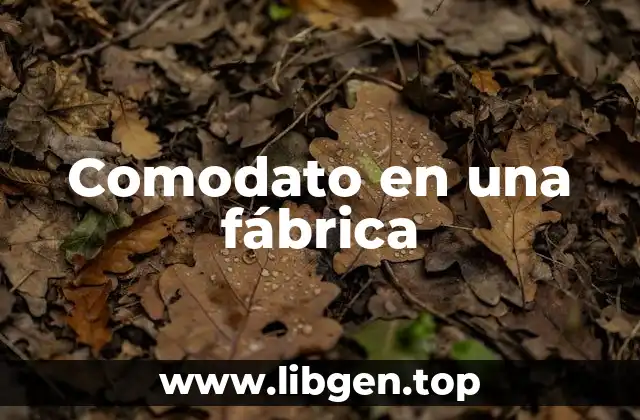 Comodato en una fábrica