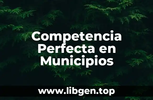 Competencia Perfecta en Municipios