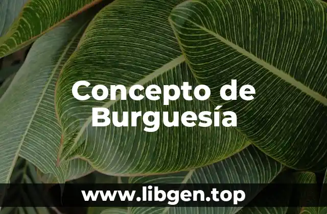 Concepto de Burguesía