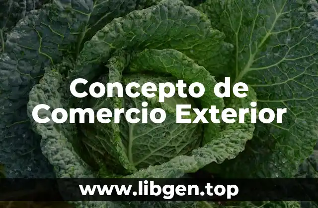 Concepto de Comercio Exterior