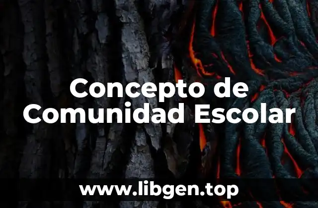 Concepto de Comunidad Escolar
