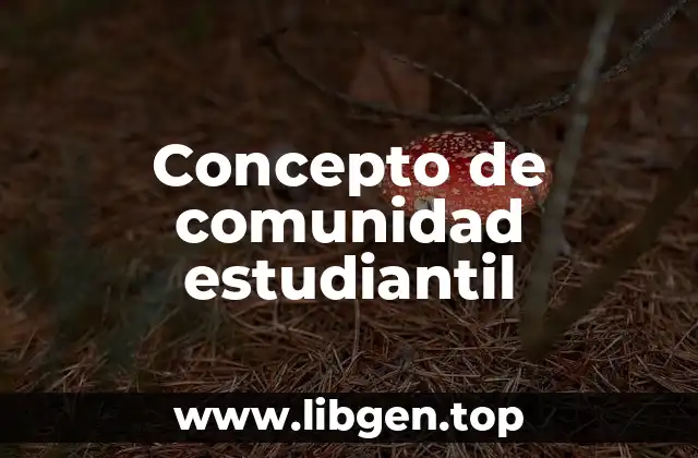 Concepto de comunidad estudiantil
