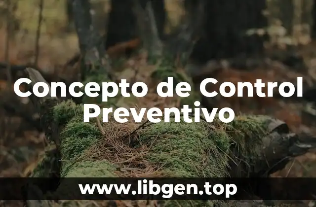 Concepto de Control Preventivo