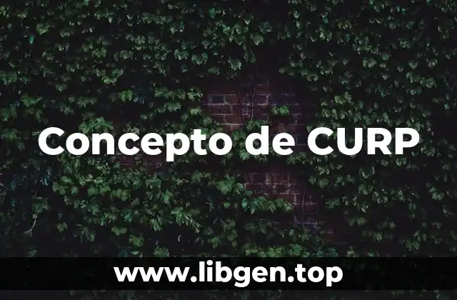 Concepto de CURP