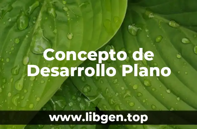 Concepto de Desarrollo Plano