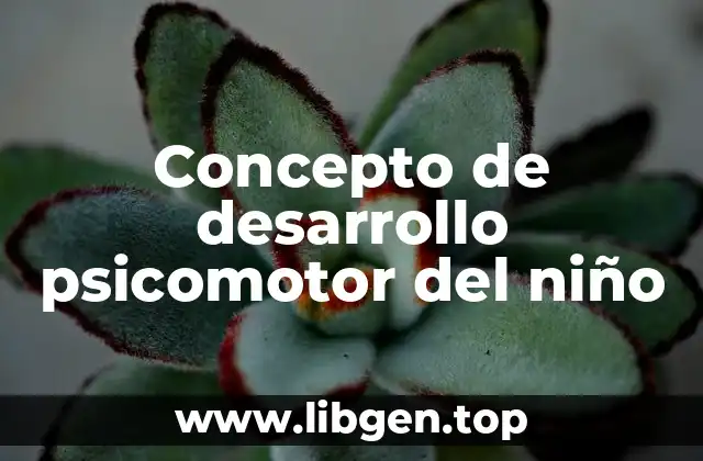 Concepto de desarrollo psicomotor del niño