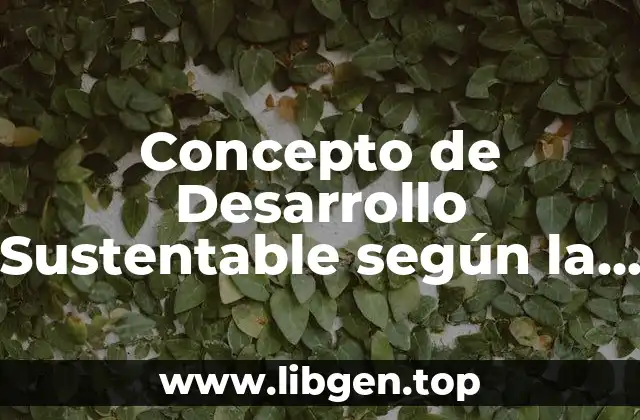 Concepto de Desarrollo Sustentable según la ONU