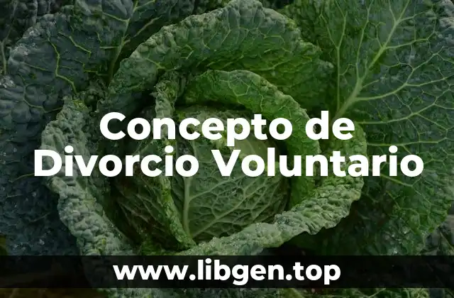 Concepto de Divorcio Voluntario
