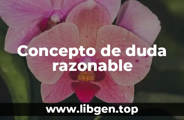 Concepto de duda razonable