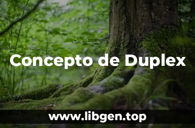Concepto de Duplex
