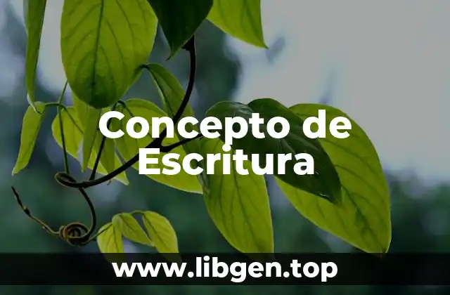 Concepto de Escritura
