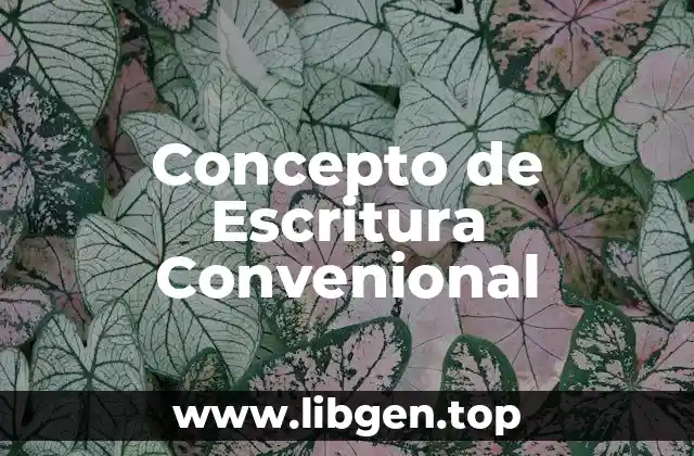 Concepto de Escritura Convenional
