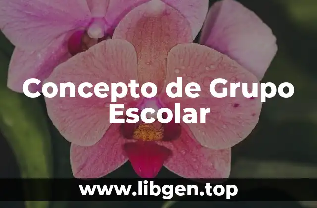Concepto de Grupo Escolar