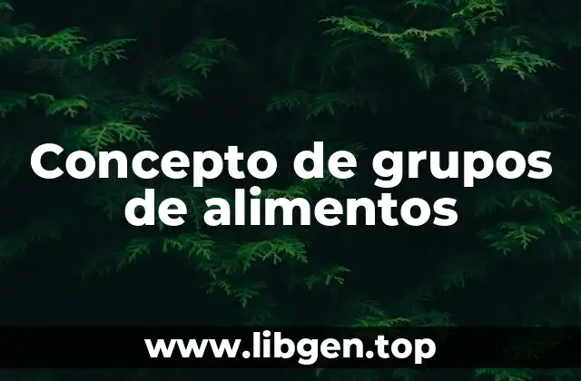 Concepto de grupos de alimentos
