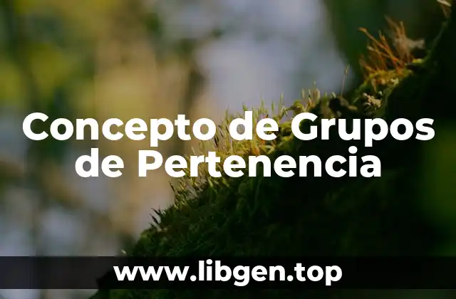 📗 Concepto de grupos de pertenencia