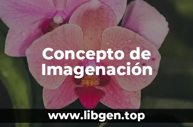 Concepto de Imagenación