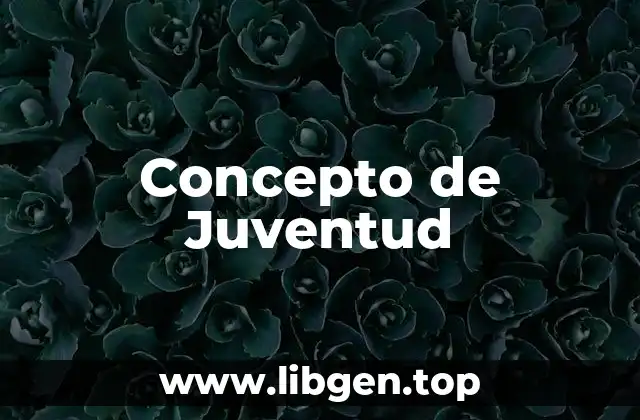 Concepto de Juventud