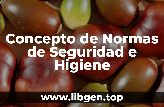 Concepto de Normas de Seguridad e Higiene
