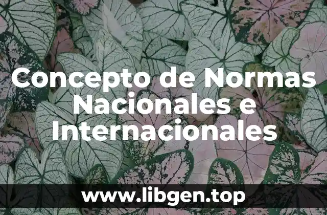 Concepto de Normas Nacionales e Internacionales