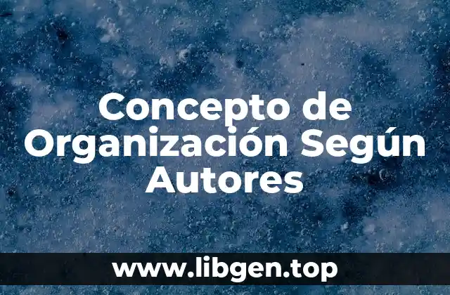 Concepto de Organización Según Autores