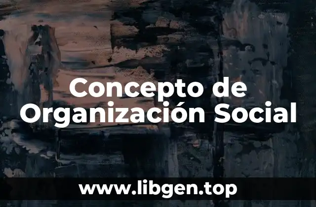 Concepto de Organización Social