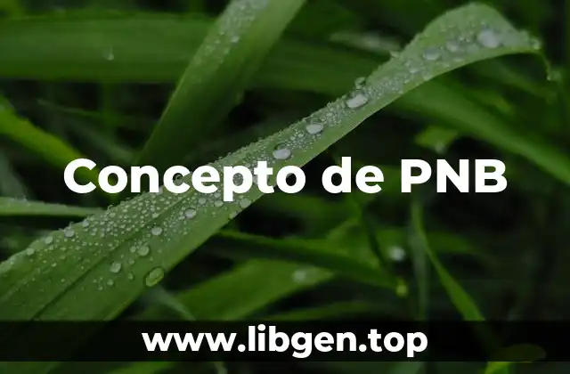 Concepto de PNB