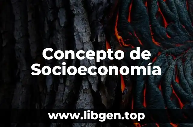 Concepto de Socioeconomía