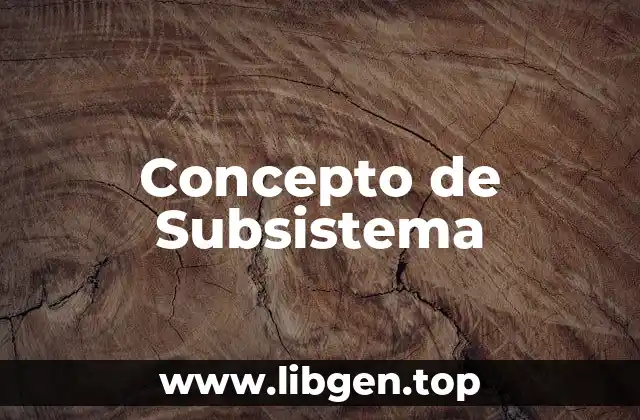 Concepto de Subsistema