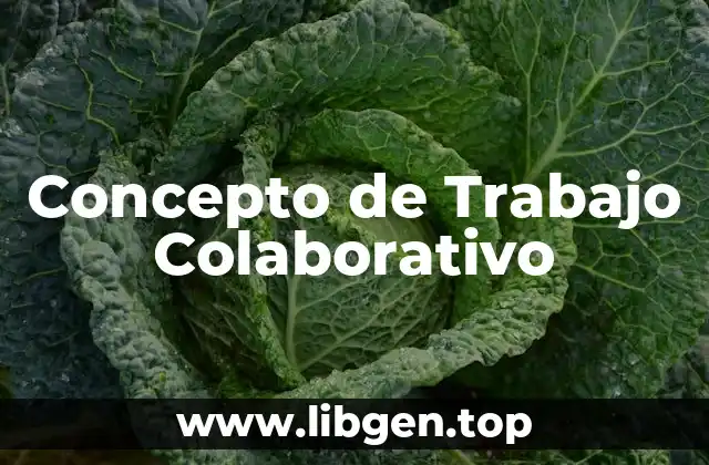 Concepto de Trabajo Colaborativo