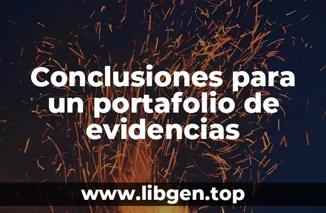 Conclusiones para un portafolio de evidencias