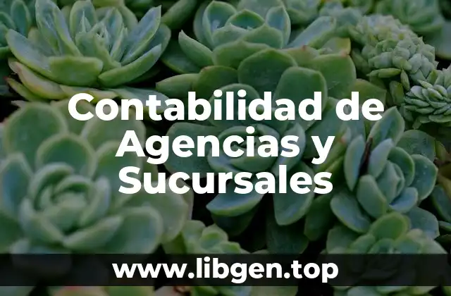 Contabilidad de Agencias y Sucursales