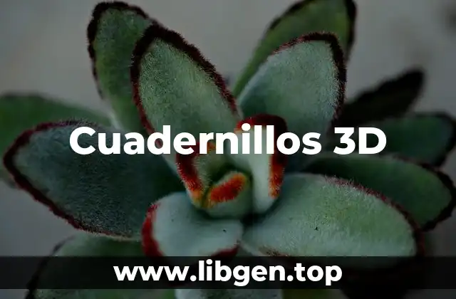 Cuadernillos 3D