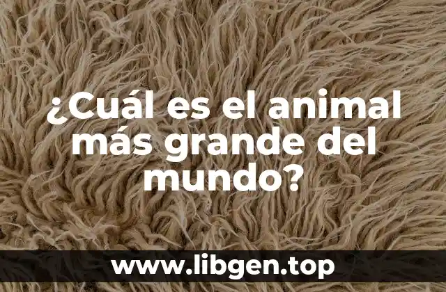 ¿Cuál es el animal más grande del mundo?
