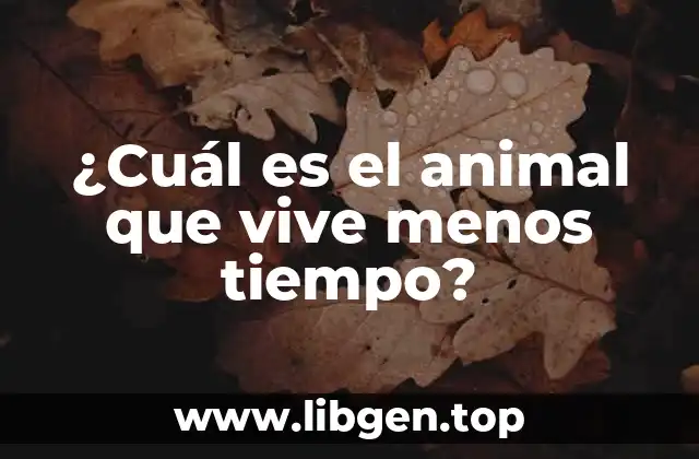 Los Mayflies: los campeones de la vida breve