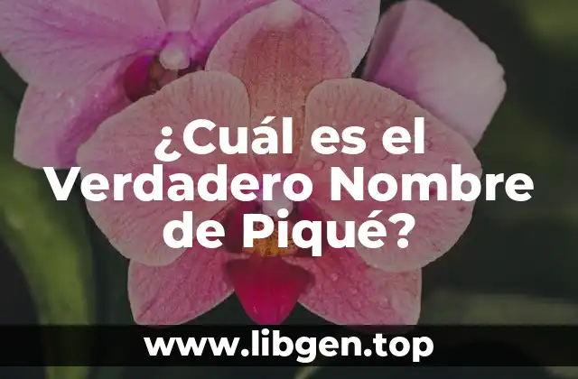 La Infancia de Gerard Piqué: Un Niño con un Nombre muy Especial